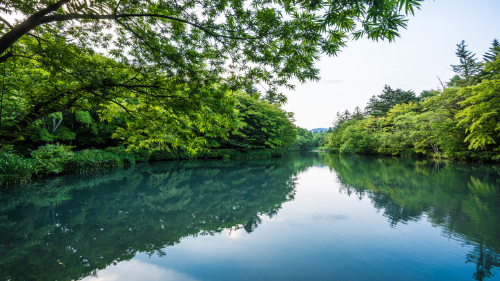 A Tisza élővilágának emléknapja