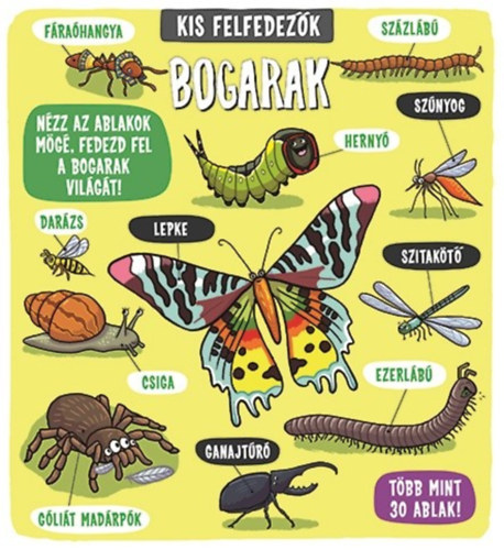 bogarak