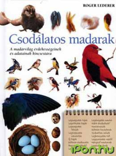 csodalatos madarak