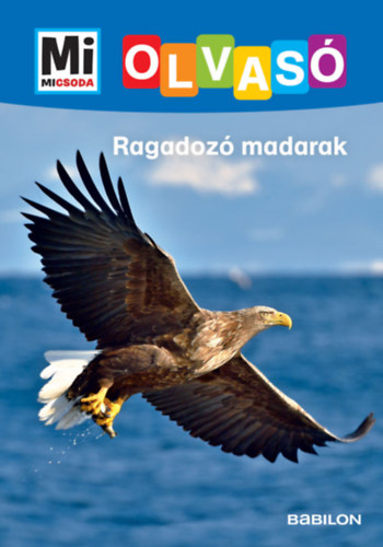 ragadozo madarak