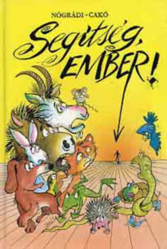 segitseg ember