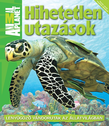 hihetetlen utazasok