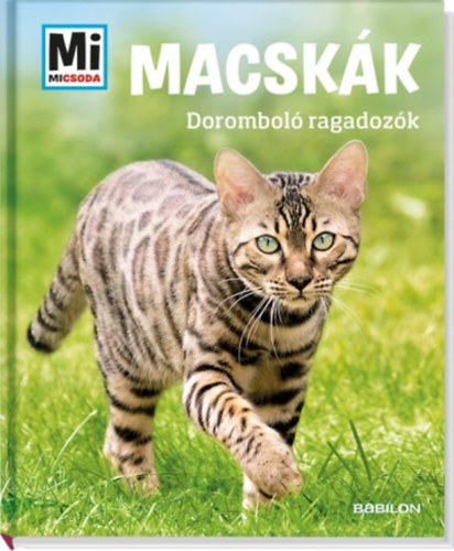 kigyok lesben allo vadaszok