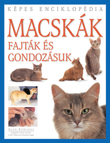 kigyok lesben allo vadaszok