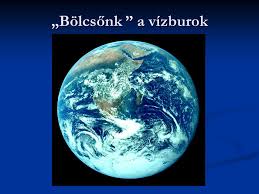 vizburook