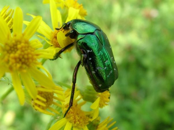 honap ajanlata 2019 oktober 13