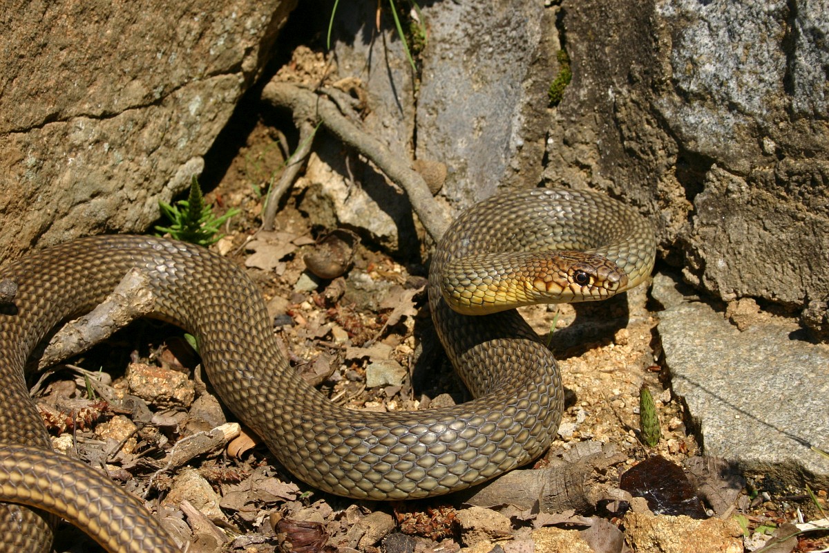 honap ajanlata 3 elohely