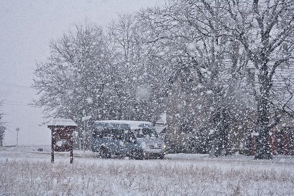 jeles napok januar hovihar auto