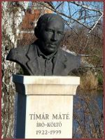 timar_mate_100_sm