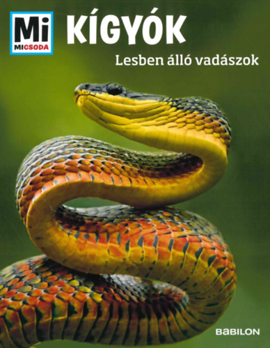 kigyok lesben allo vadaszok