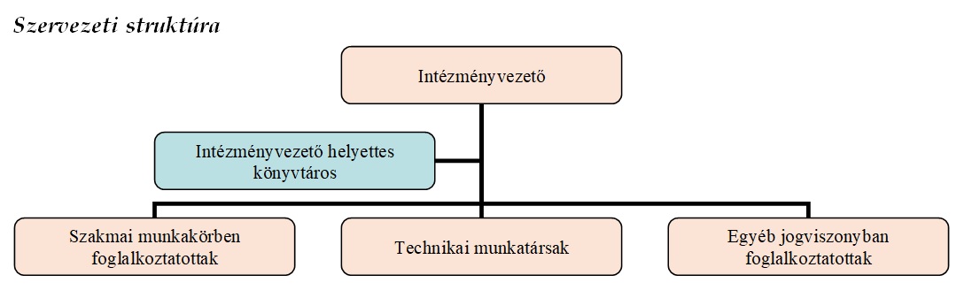 szervezeti struktura