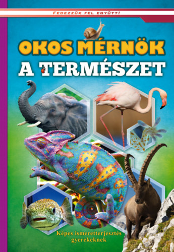 okos mernok a termeszet