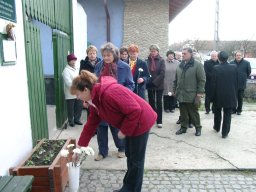 koszoruzas010106743