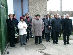 koszoruzok01010677