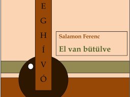 salamon_ferenc_meghivo