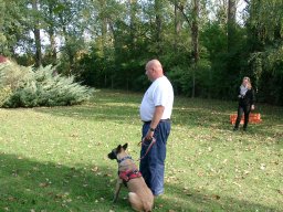 2015_10_05_11_konyvtari_napok_vidra_14