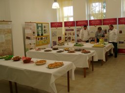 torta_sutemenysuto_verseny_042