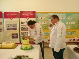 torta_sutemenysuto_verseny_058