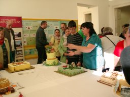torta_sutemenysuto_verseny_118