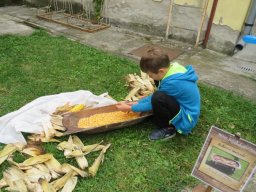 csaladi_vasarnap_okn_2017_65
