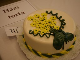 torta_sutemeny_suto_verseny_008