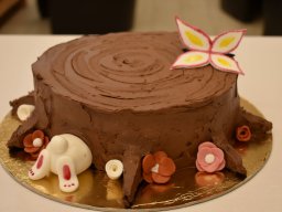 torta_sutemeny_suto_verseny_012
