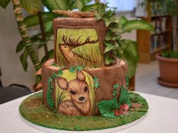 torta_sutemeny_suto_verseny_018