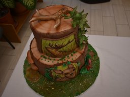 torta_sutemeny_suto_verseny_019