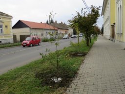 okn_gyomaendrodon_2019_24