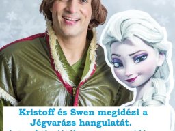 2019.11.30 - Jégvarázs a Határ Győző Városi Könyvtárban