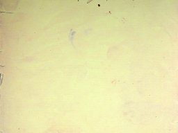 kner_piroska_szakacskonyv_bemutato_37