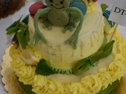 kner_piroska_torta_es_sutemenysuto_verseny_46