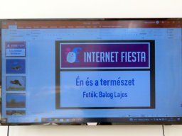 internet_fiesta_11