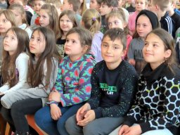 szep_bence_02