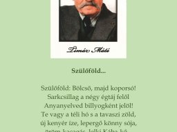timar_matera_emlekeztunk_06