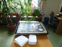 szovegelo_2012_002