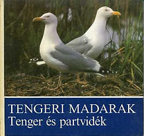 tengeri madaak