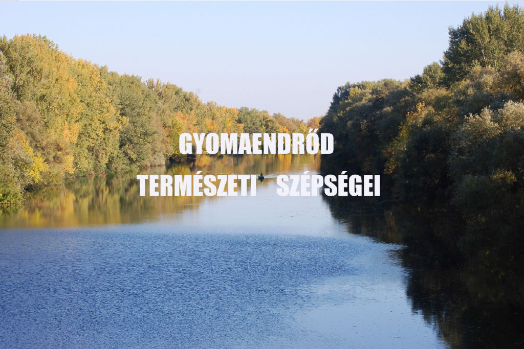 qyomaendrod termeszeti szepsegei