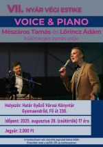 vii nyar vegi estike plakat sm