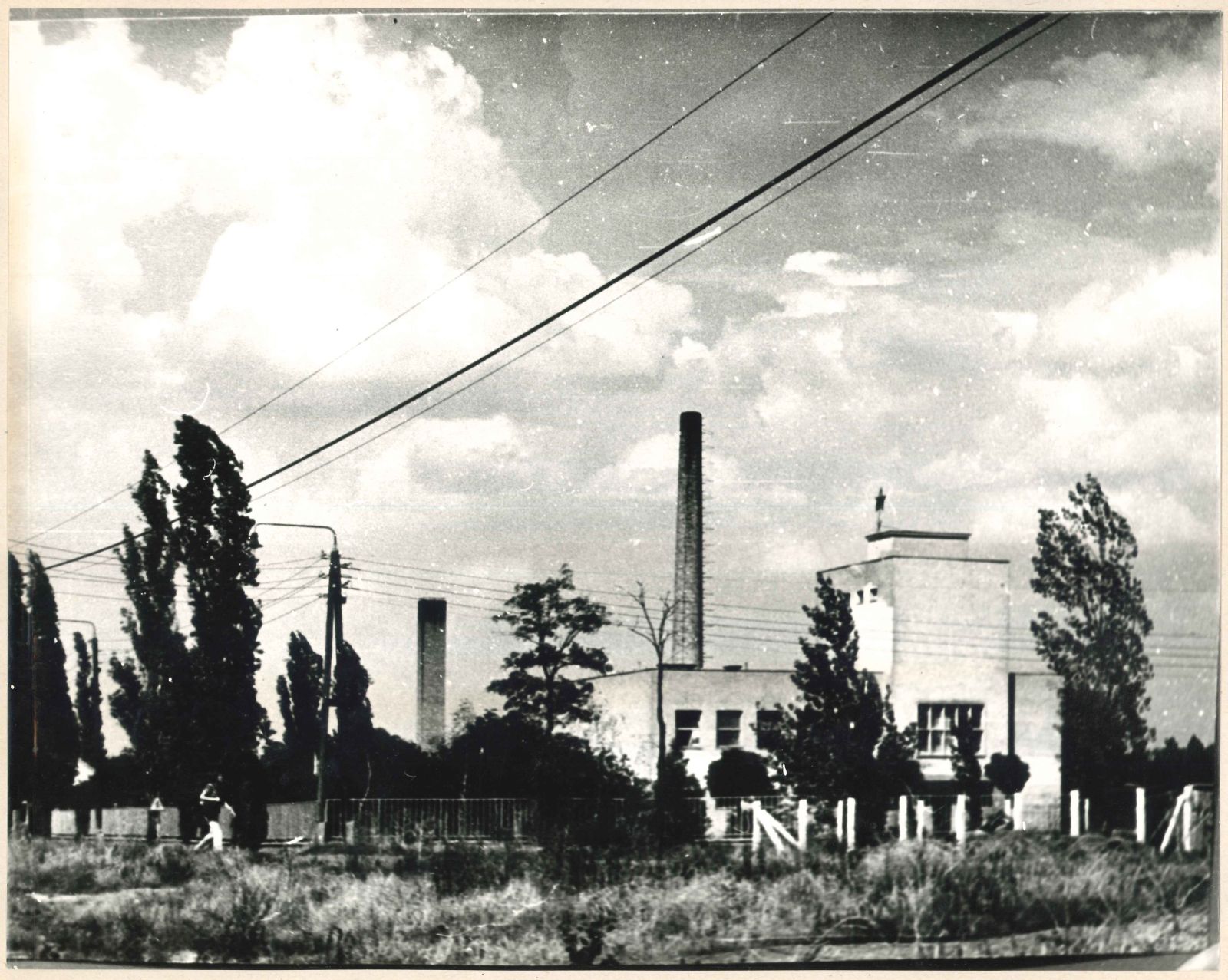gyomai fotok 08