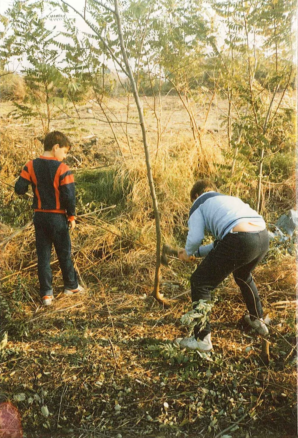 digdok gyomaendrod temetok temeto takaritas 02